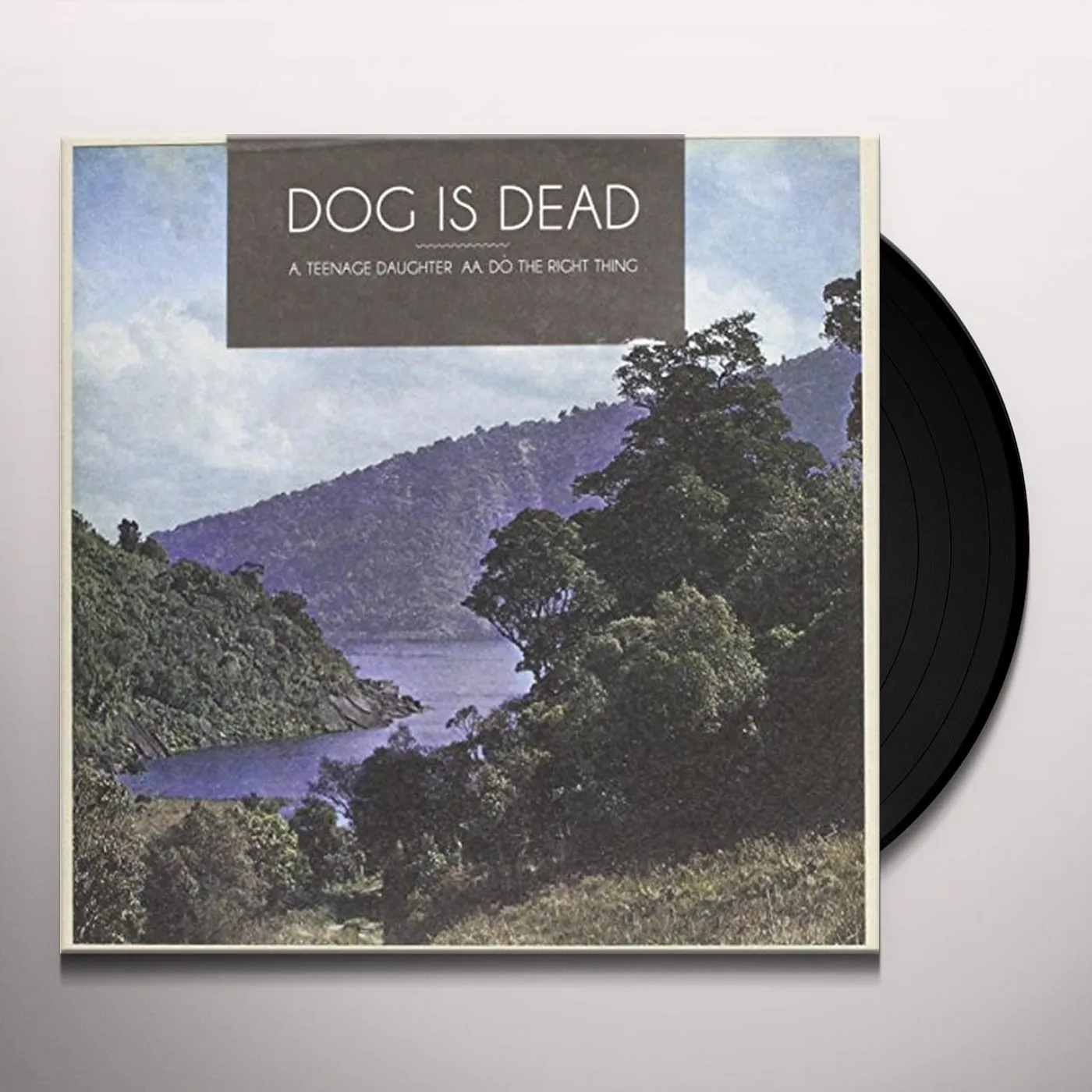 Dog Is Dead TEENAGE DAUGHTER / DO THE RIGHT THING Vinyl Record