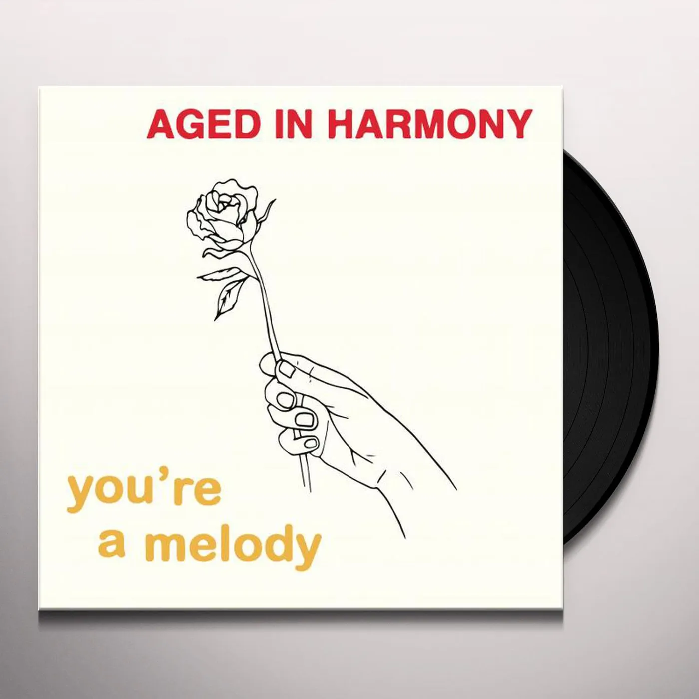 Aged In Harmony You're a Melody Vinyl Record