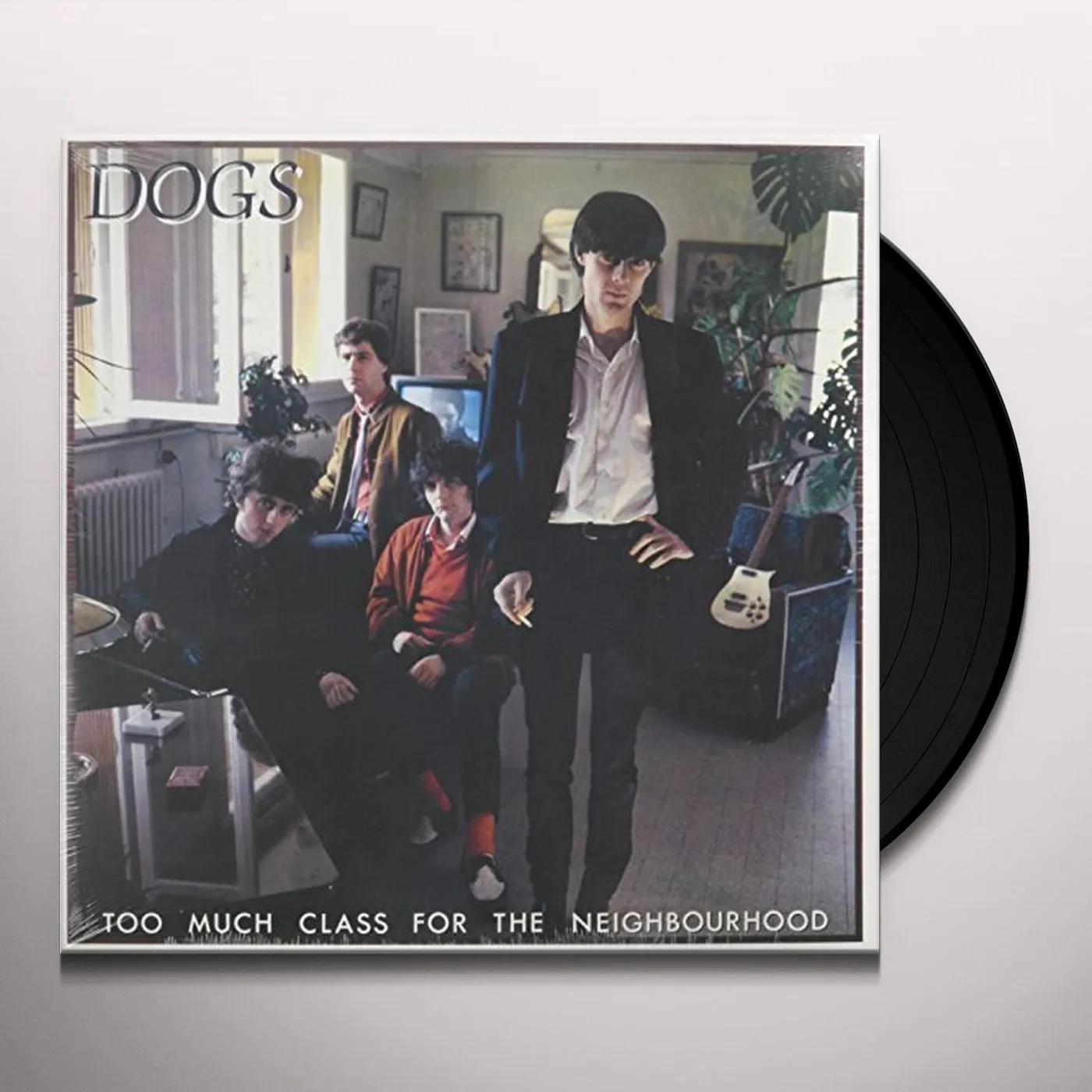 Dogs TOO MUCH CLASS FOR THE NEIGHBOURHOOD (GER) Vinyl Record