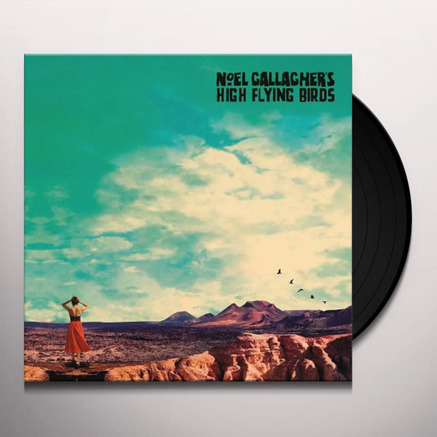 Noel Gallagher's High Flying Birds WHO BUILT THE MOON Vinyl Record