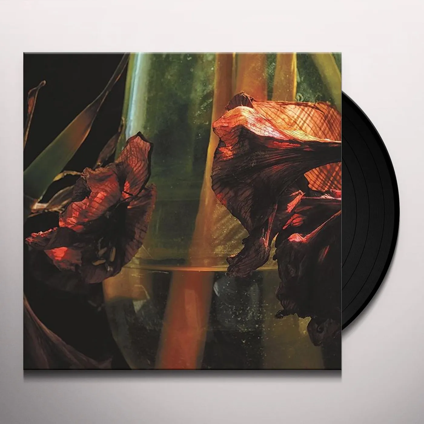 Hayvanlar Alemi Psychedelia in Times of Turbulence Vinyl Record