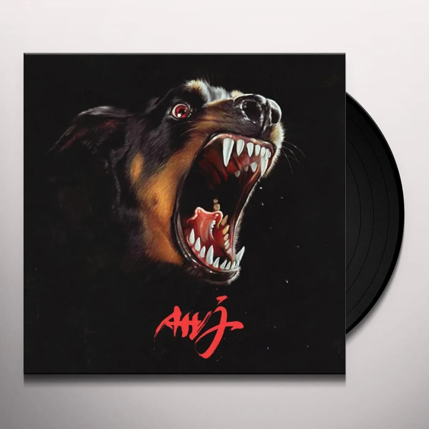 Albert Hammond Jr AHJ Vinyl Record