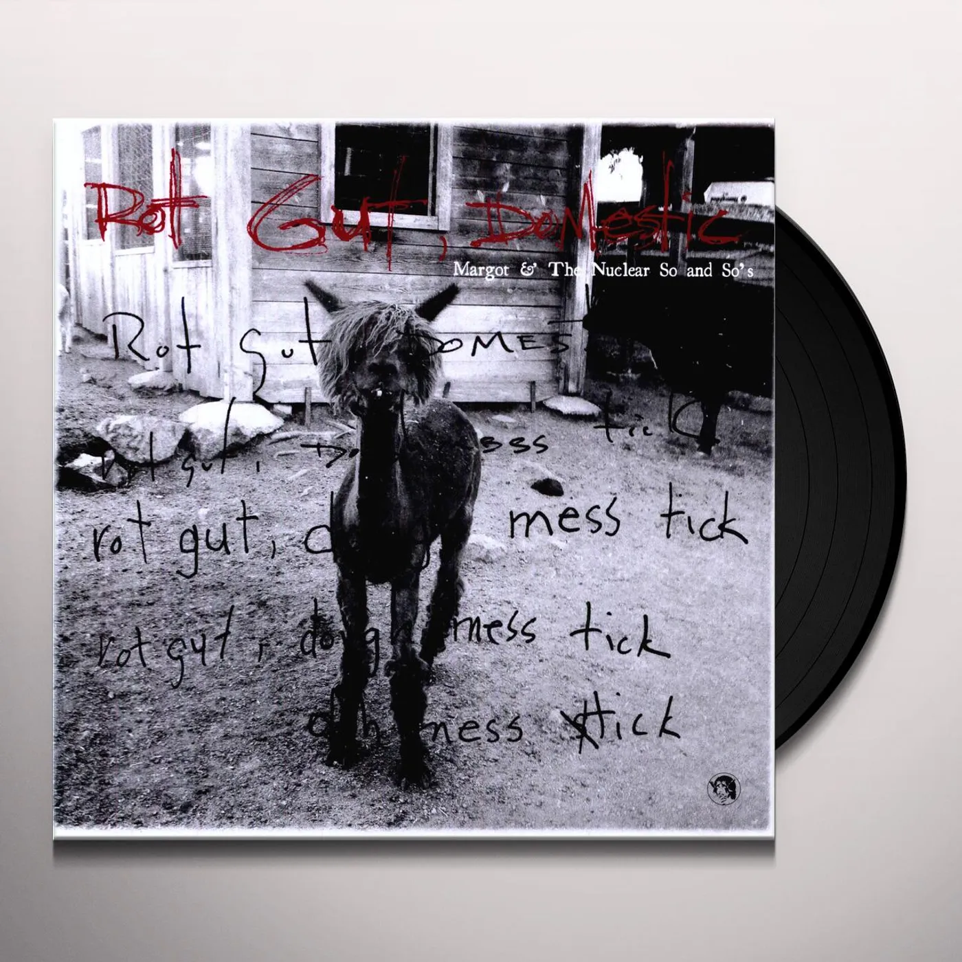 Margot & The Nuclear So And So's ROT GUT DOMESTIC Vinyl Record