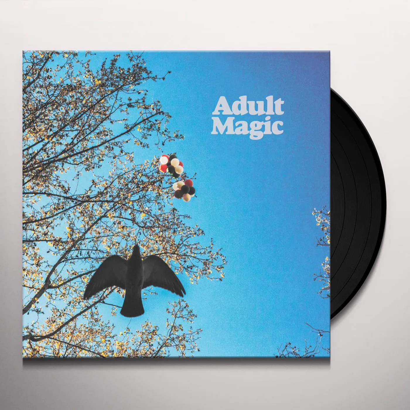 Adult Magic Vinyl Record