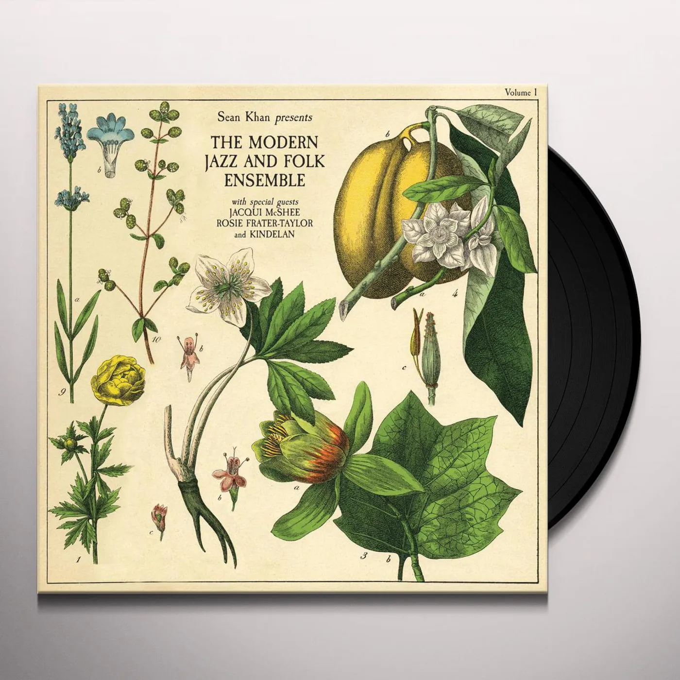 Sean Khan Presents The Modern Folk & Jazz Ensemble Vinyl Record