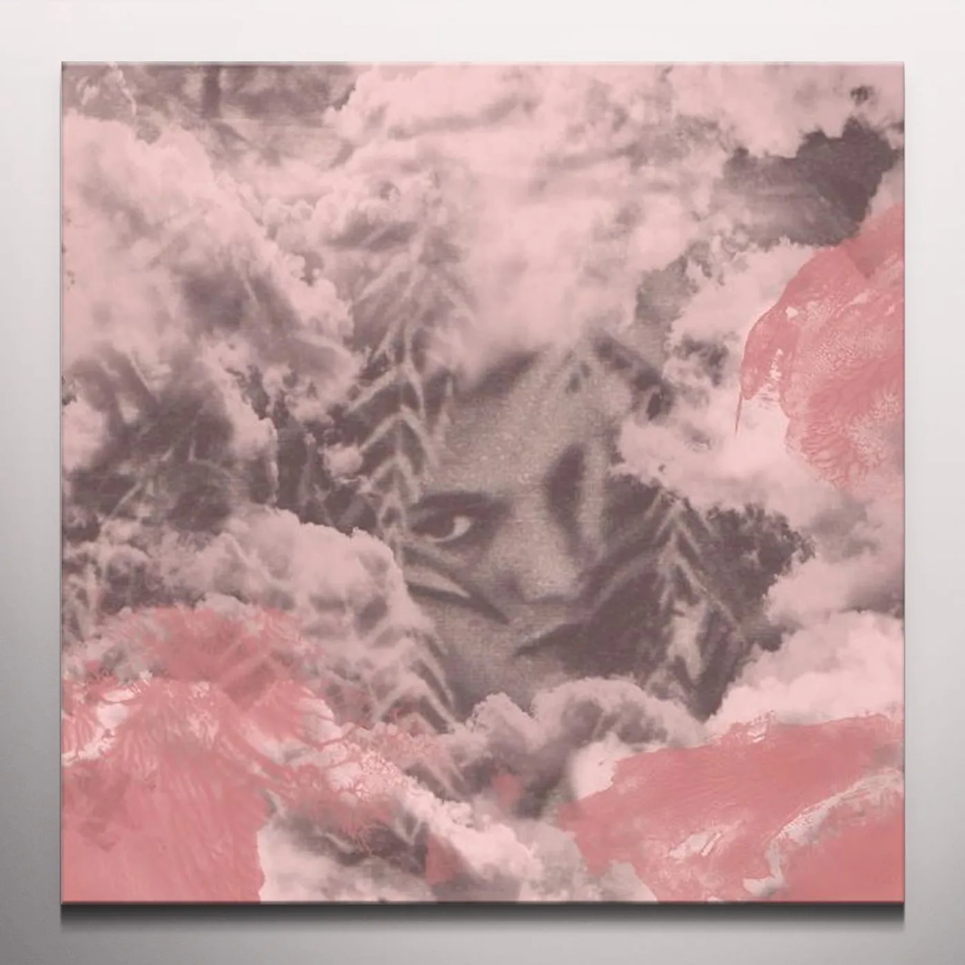 Dog Bite Velvet Changes Vinyl Record