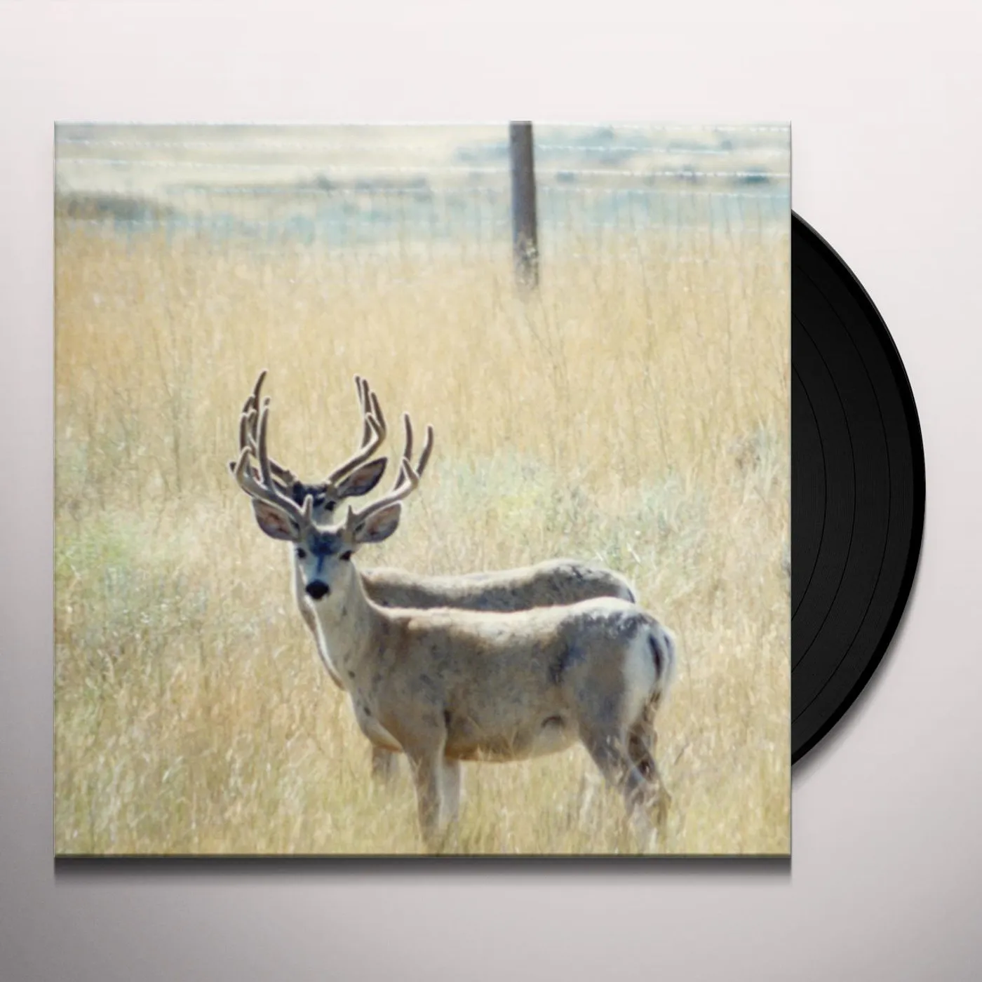 Tau - Boris Hegenbart FIRST / DEW THE HIKUIOTO SELECTION Vinyl Record