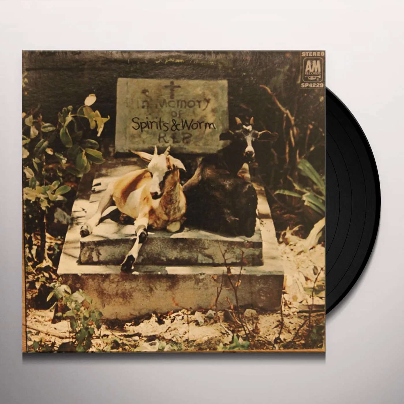 Spirits & Worm Spirits And Worm Vinyl Record