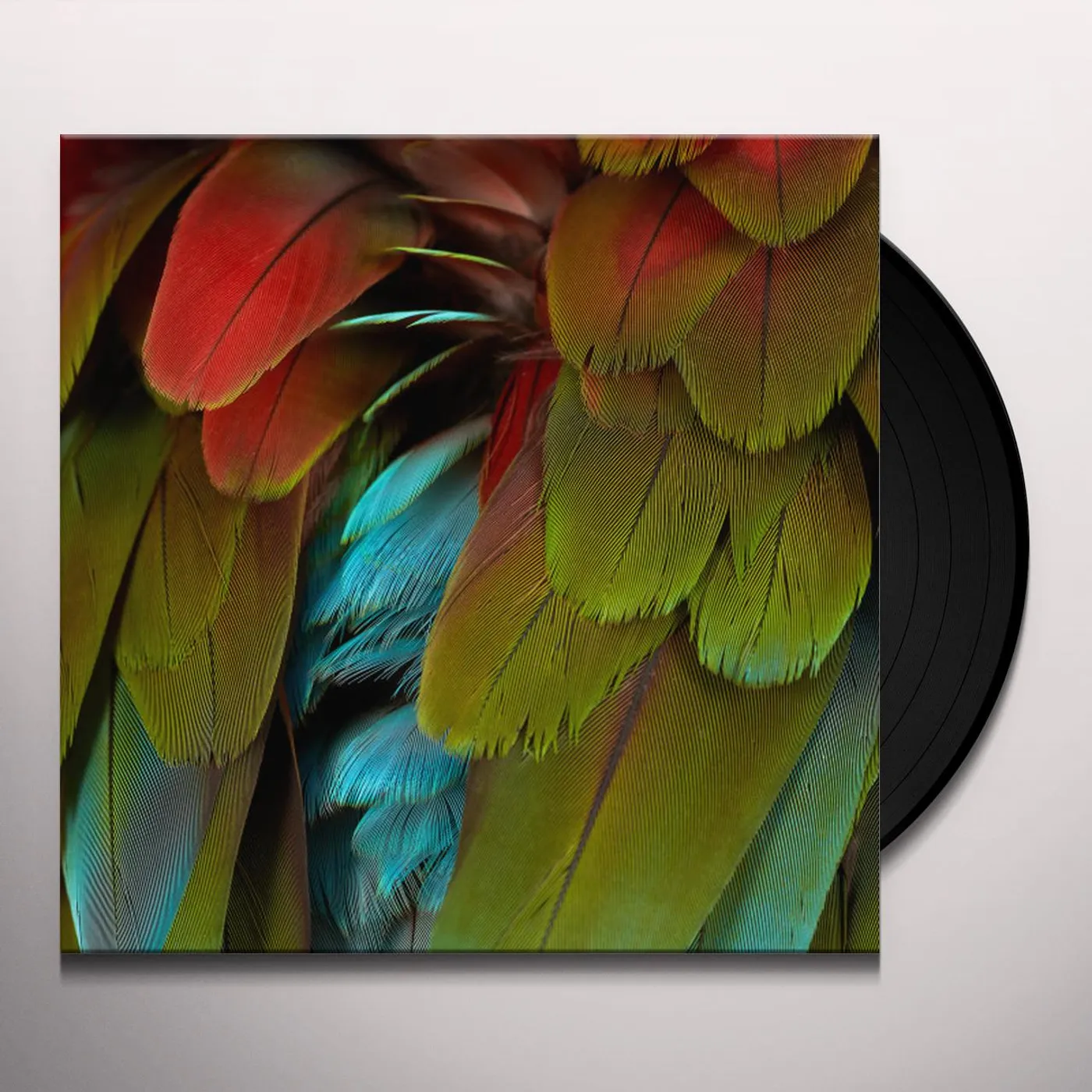 NYOS Celebration Vinyl Record