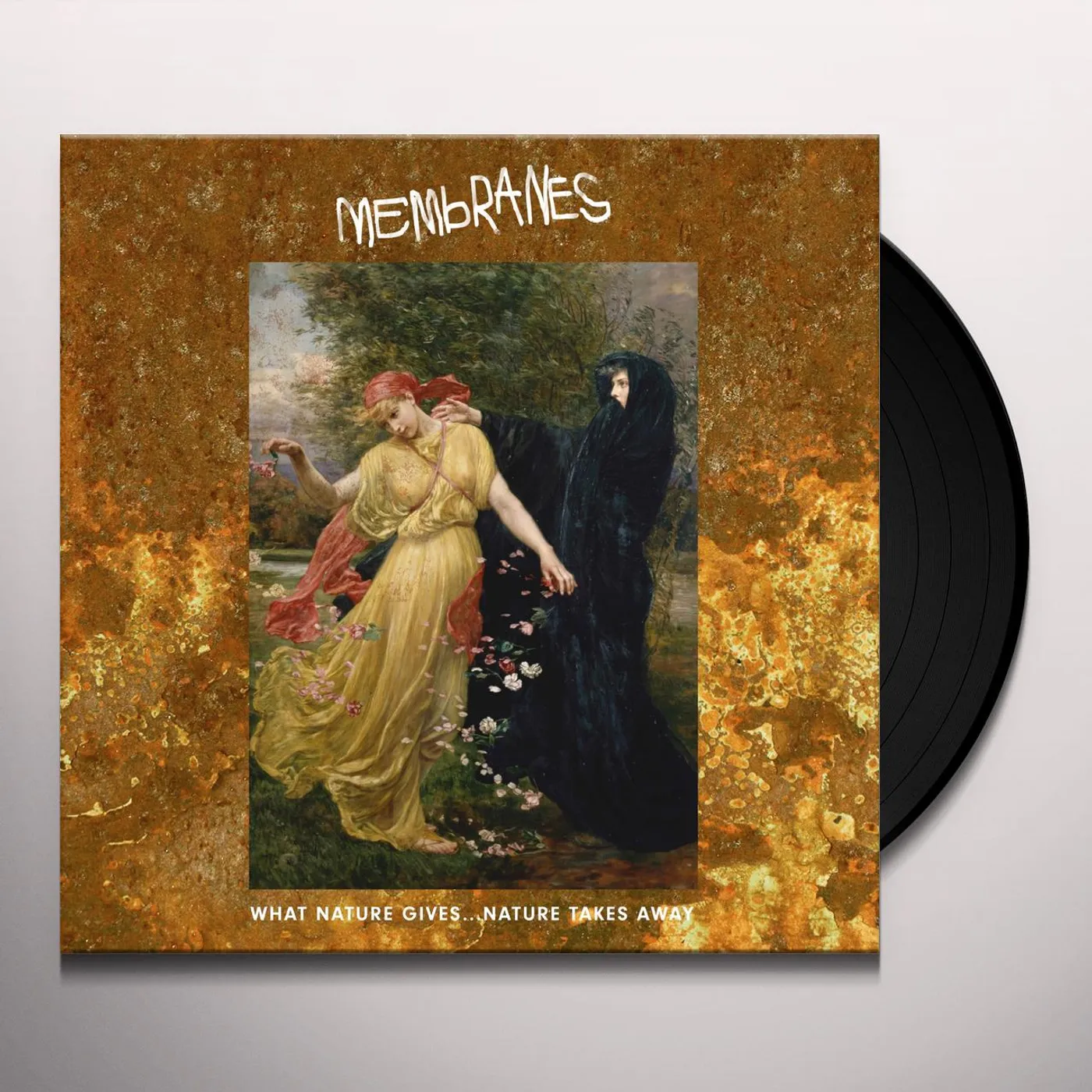 The Membranes WHAT NATURE GIVES NATURE TAKES AWAY Vinyl Record