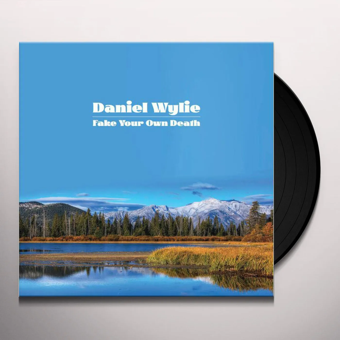 Daniel Wylie FAKE YOUR OWN DEATH Vinyl Record