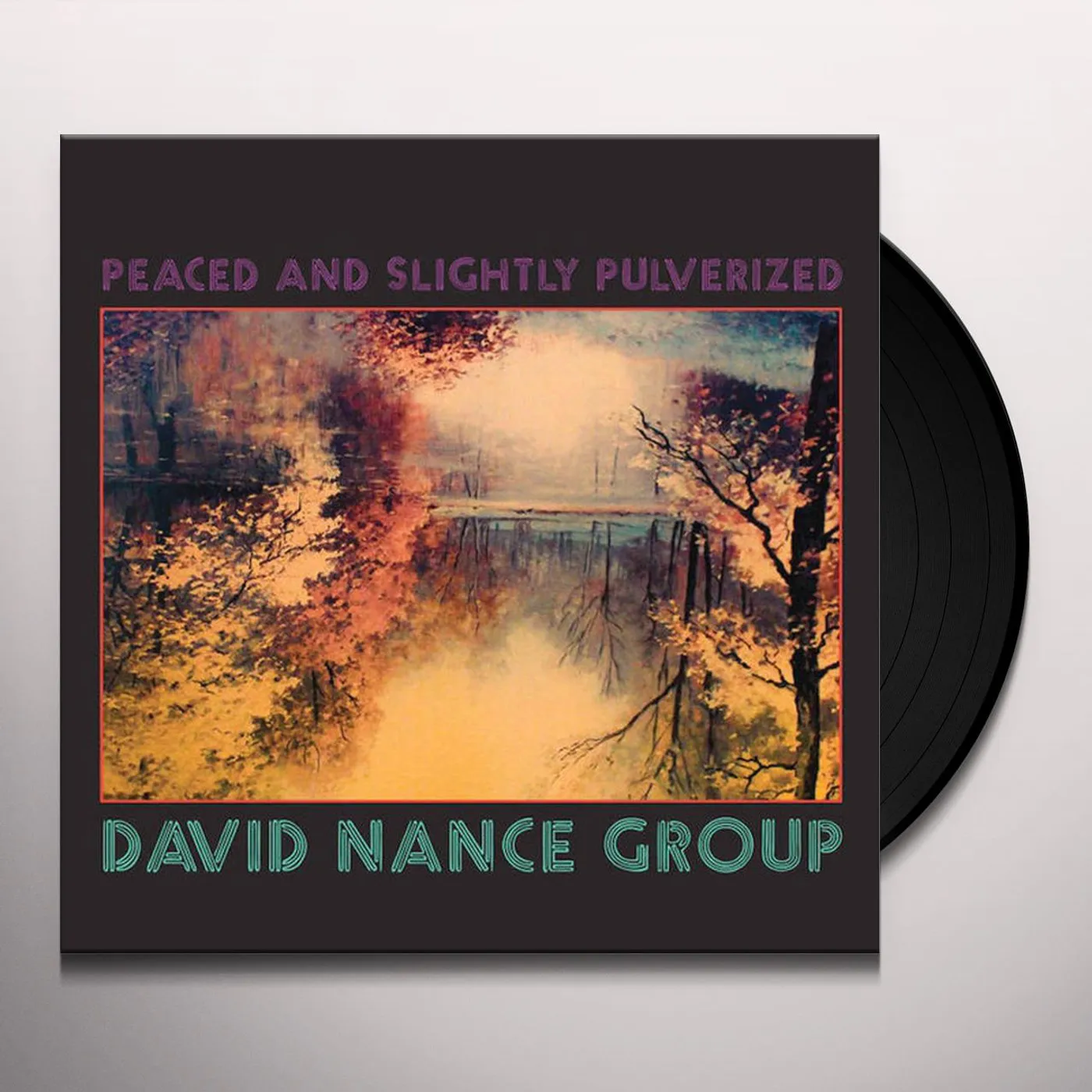 David Nance Pulverized & Slightly Peaced Vinyl Record