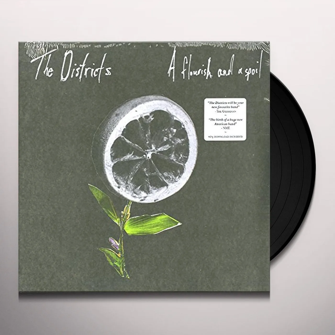 Federico Fiumani UN RICORDO CHE VALE DIECI LIRE Vinyl Record - Italy Release