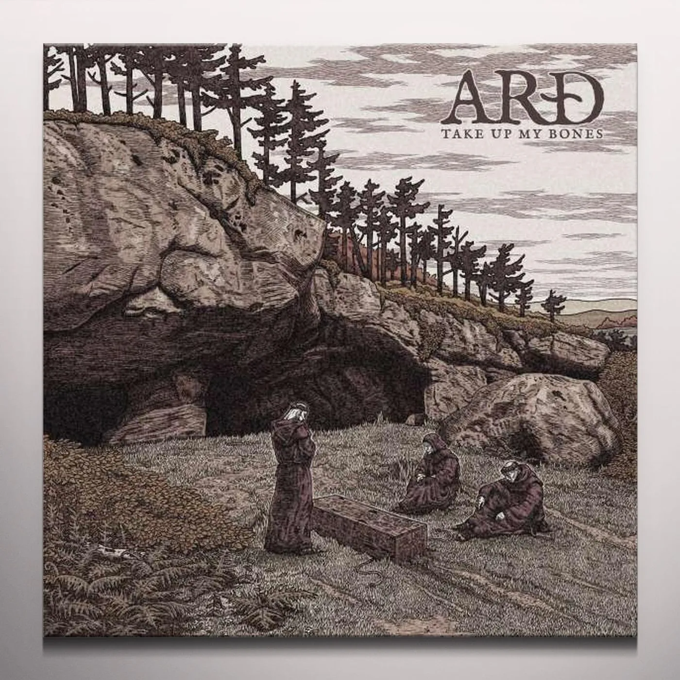 ARD TAKE UP MY BONES Vinyl Record