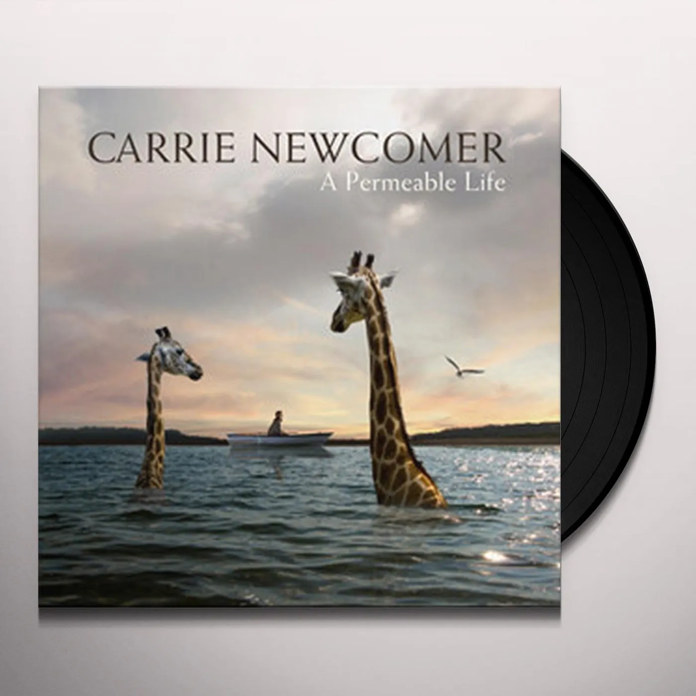 Carrie Newcomer PERMEABLE LIFE Vinyl Record