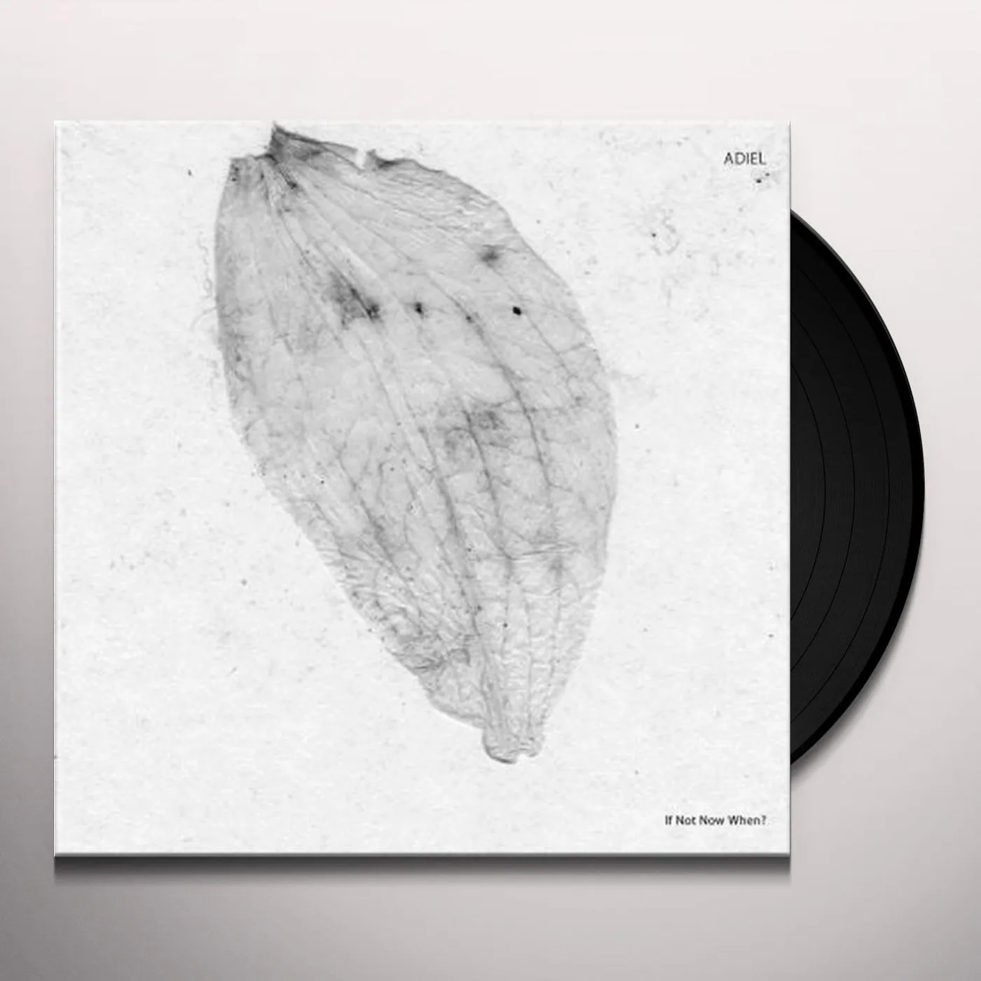Adiel If Not Now When? Vinyl Record