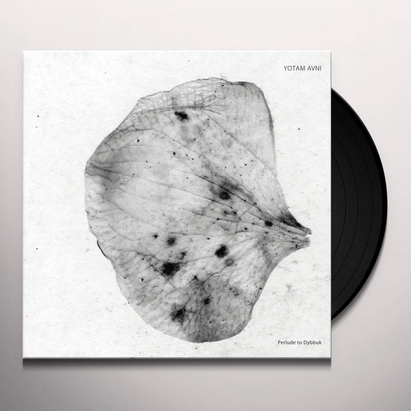 Yotam Avni Perlude To Dybbuk Vinyl Record