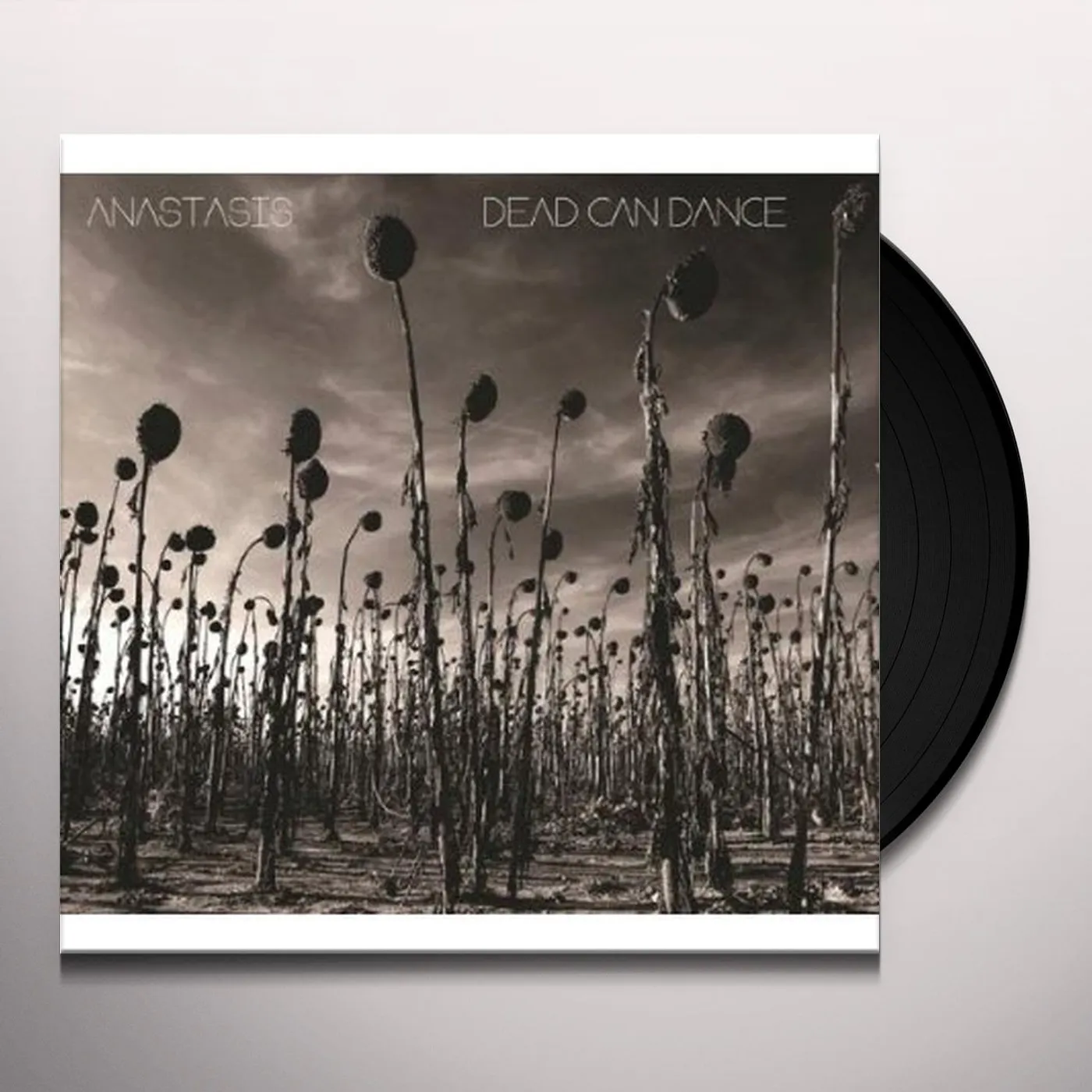 Dead Can Dance Anastasis Vinyl Record