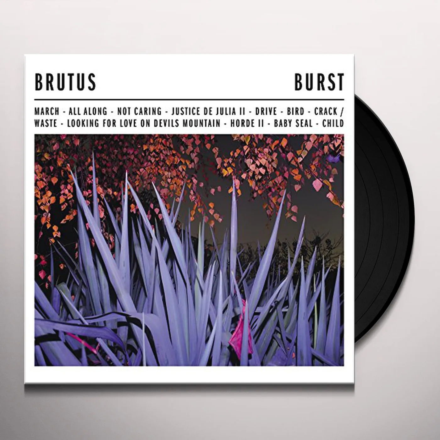 Brutus Burst Vinyl Record