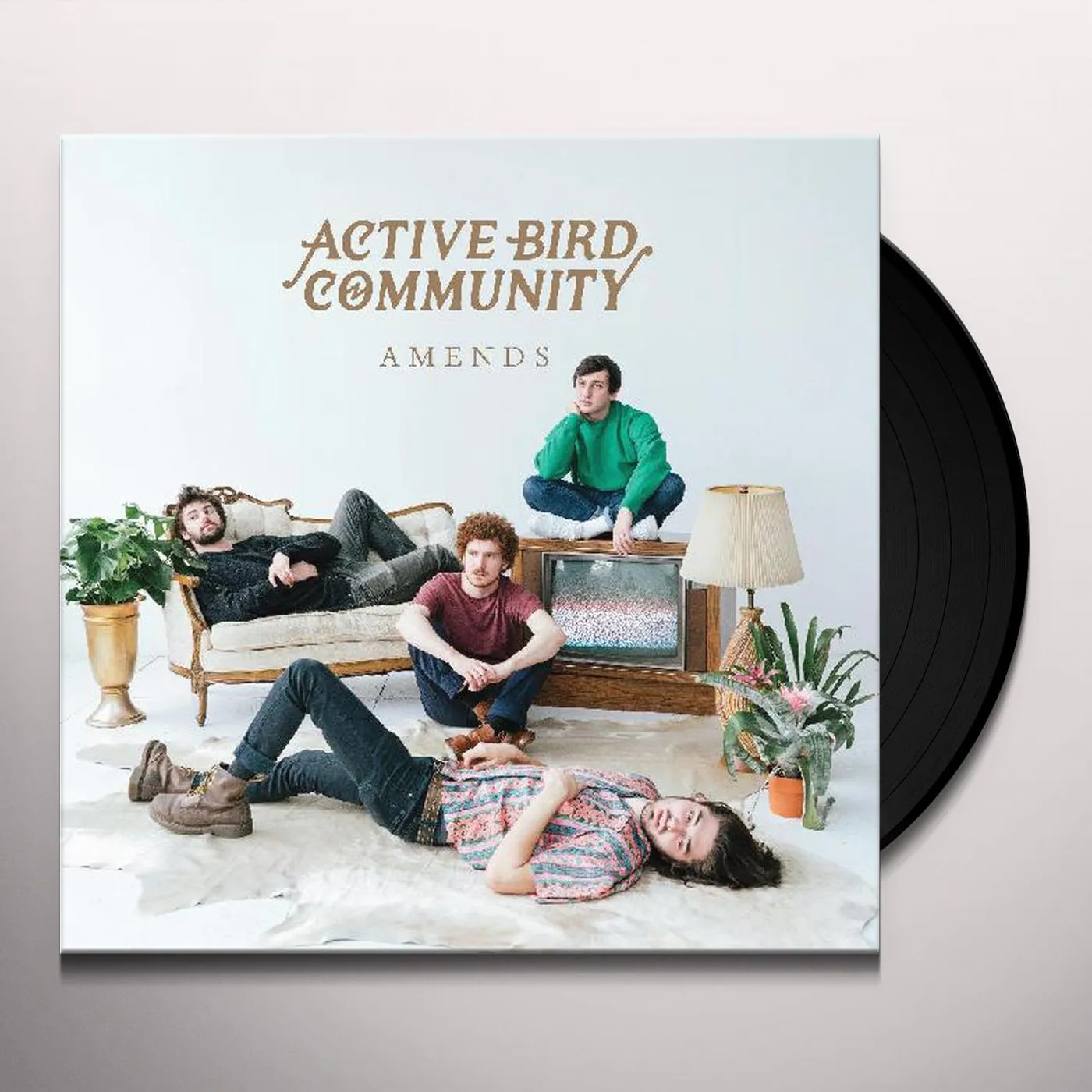 Active Bird Community Amends Vinyl Record
