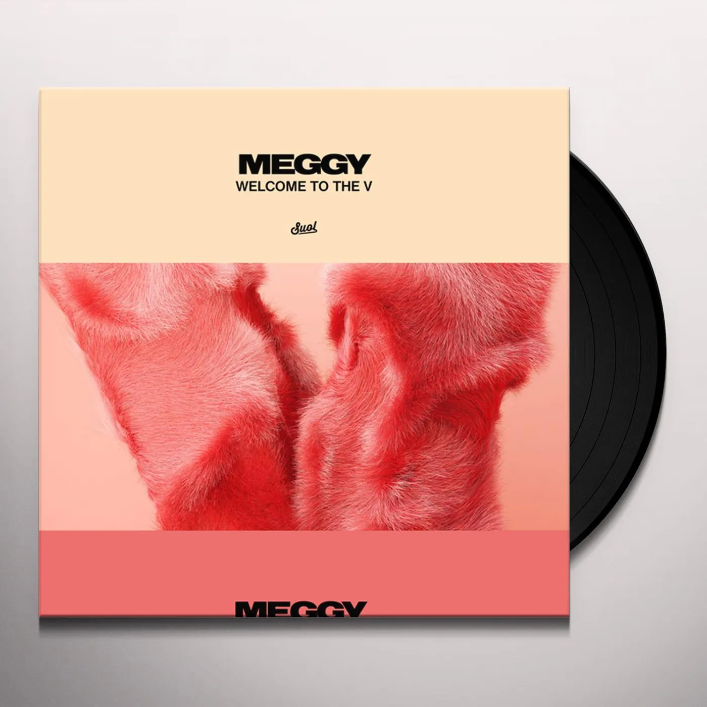 Meggy Welcome to the V Vinyl Record