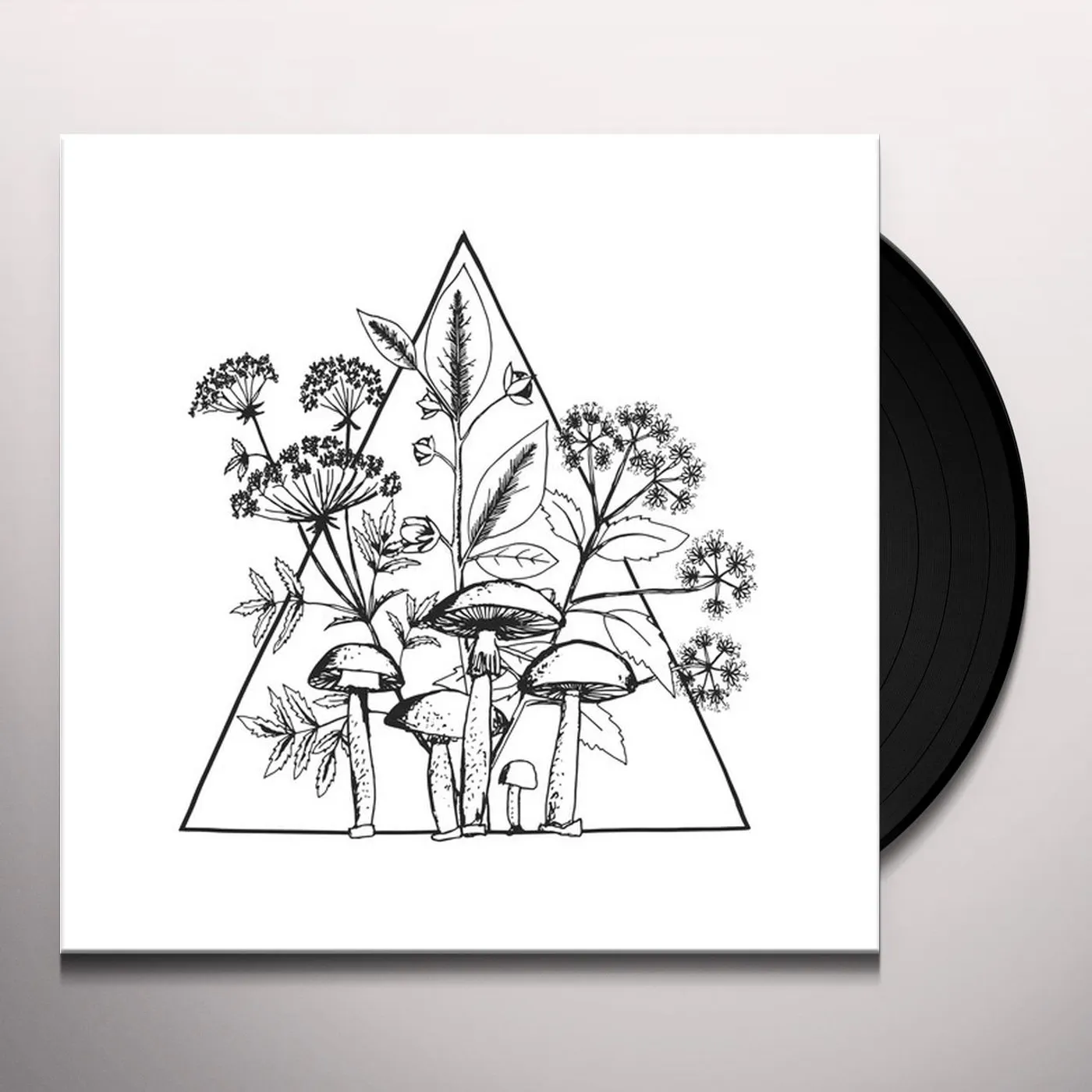 Les Conversions CASSETTE Vinyl Record