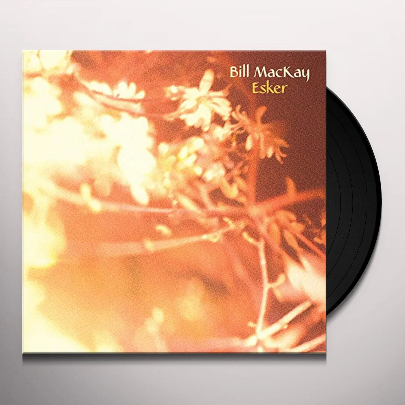 Bill MacKay Esker Vinyl Record