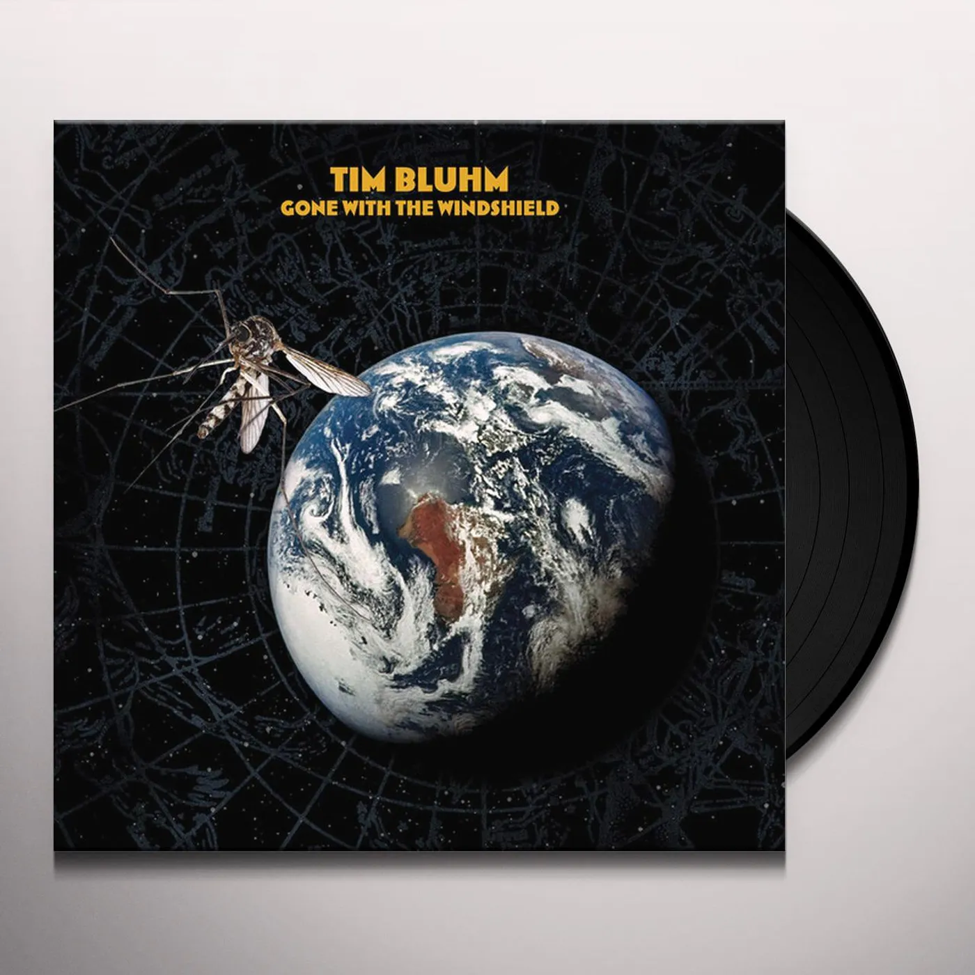 Tim Bluhm Gone With The Windshield Vinyl Record
