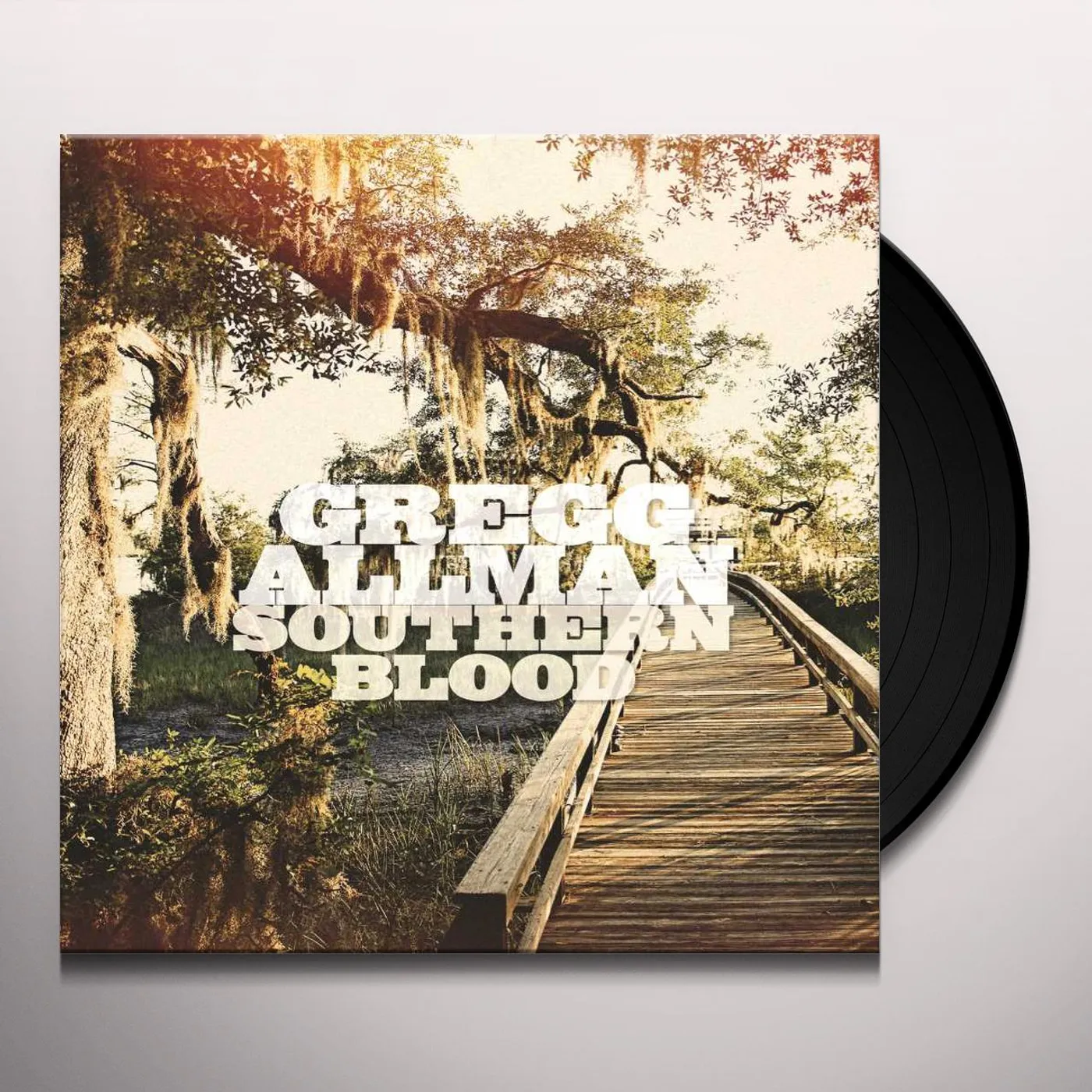 Gregg Allman Southern Blood Vinyl Record
