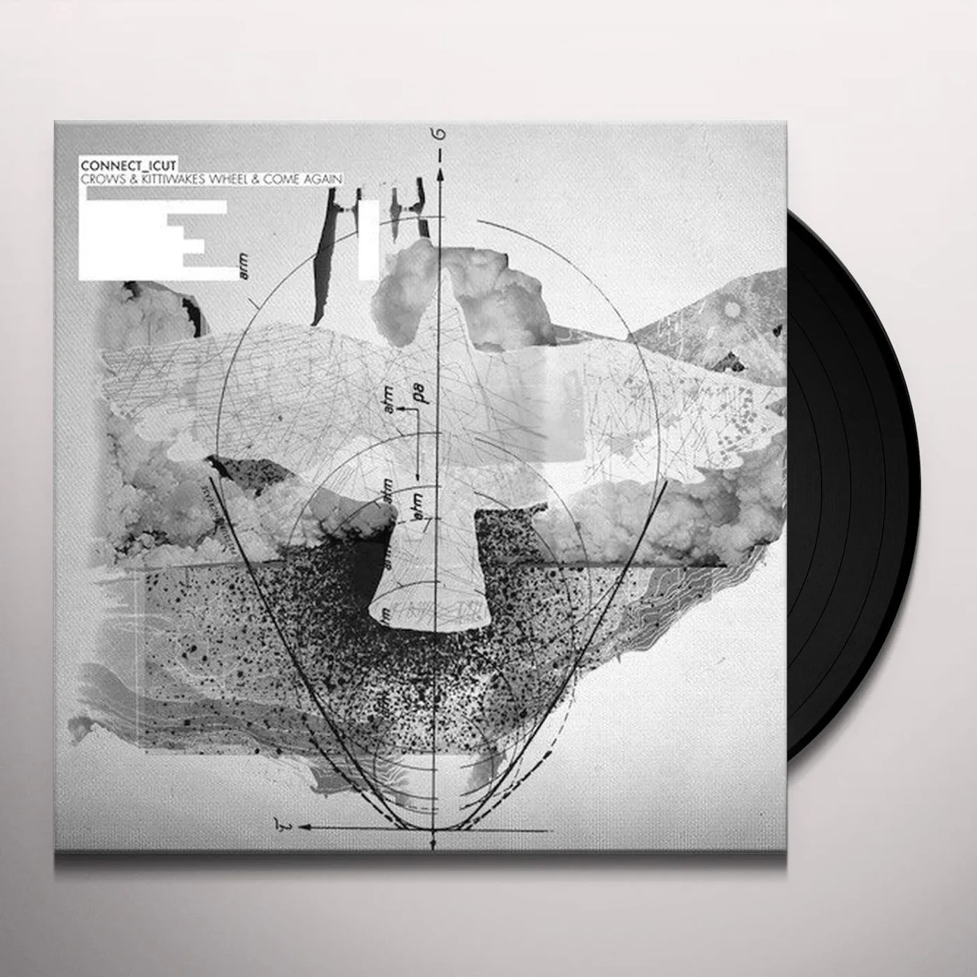 Connecticut Crows & Kittiwakes Wheel & Come Again Vinyl Record