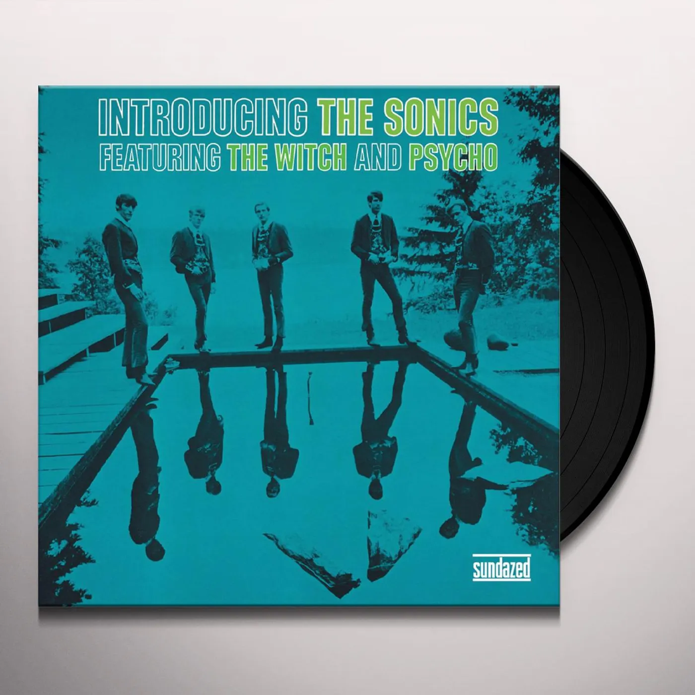Introducing The Sonics Vinyl Record