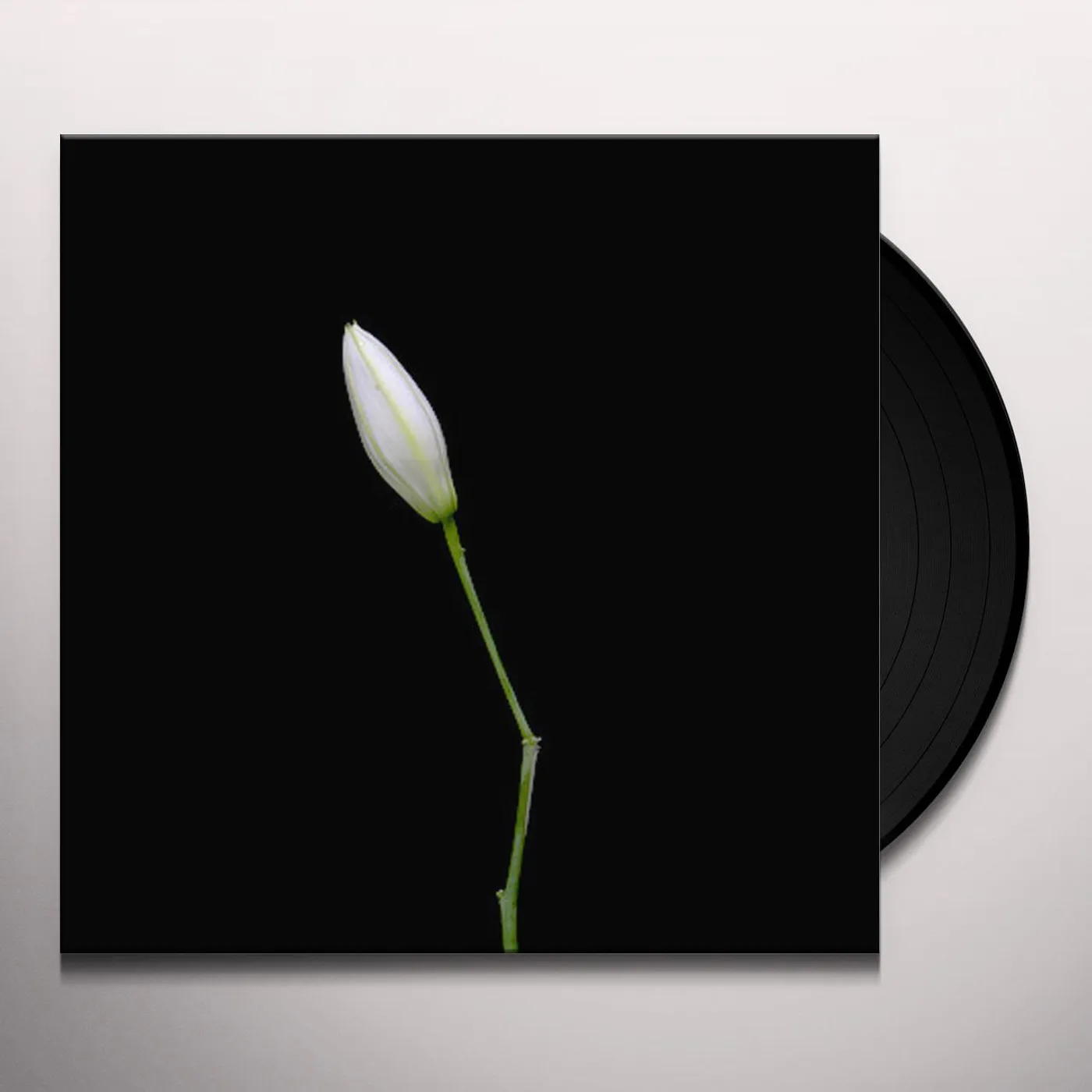 Rocket Science Snake Vinyl Record