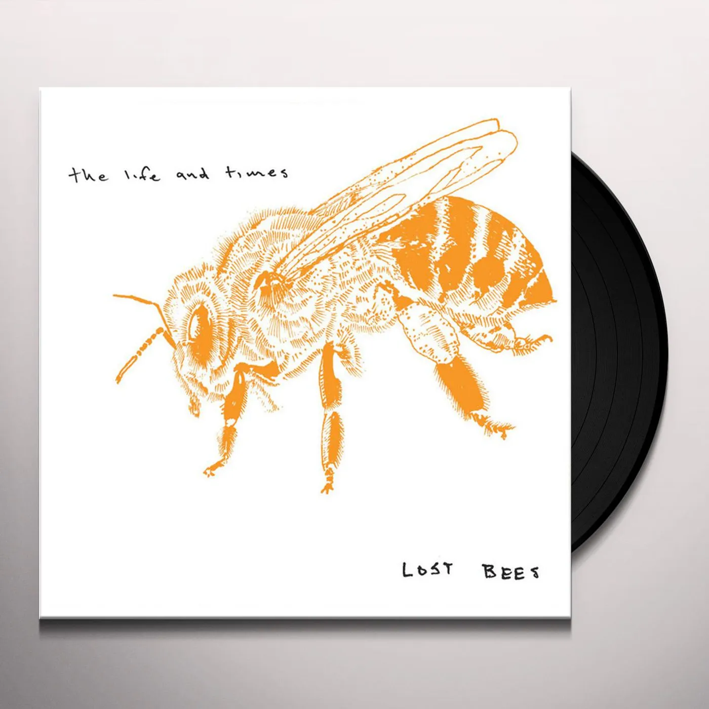 Life and Times Lost Bees Vinyl Record