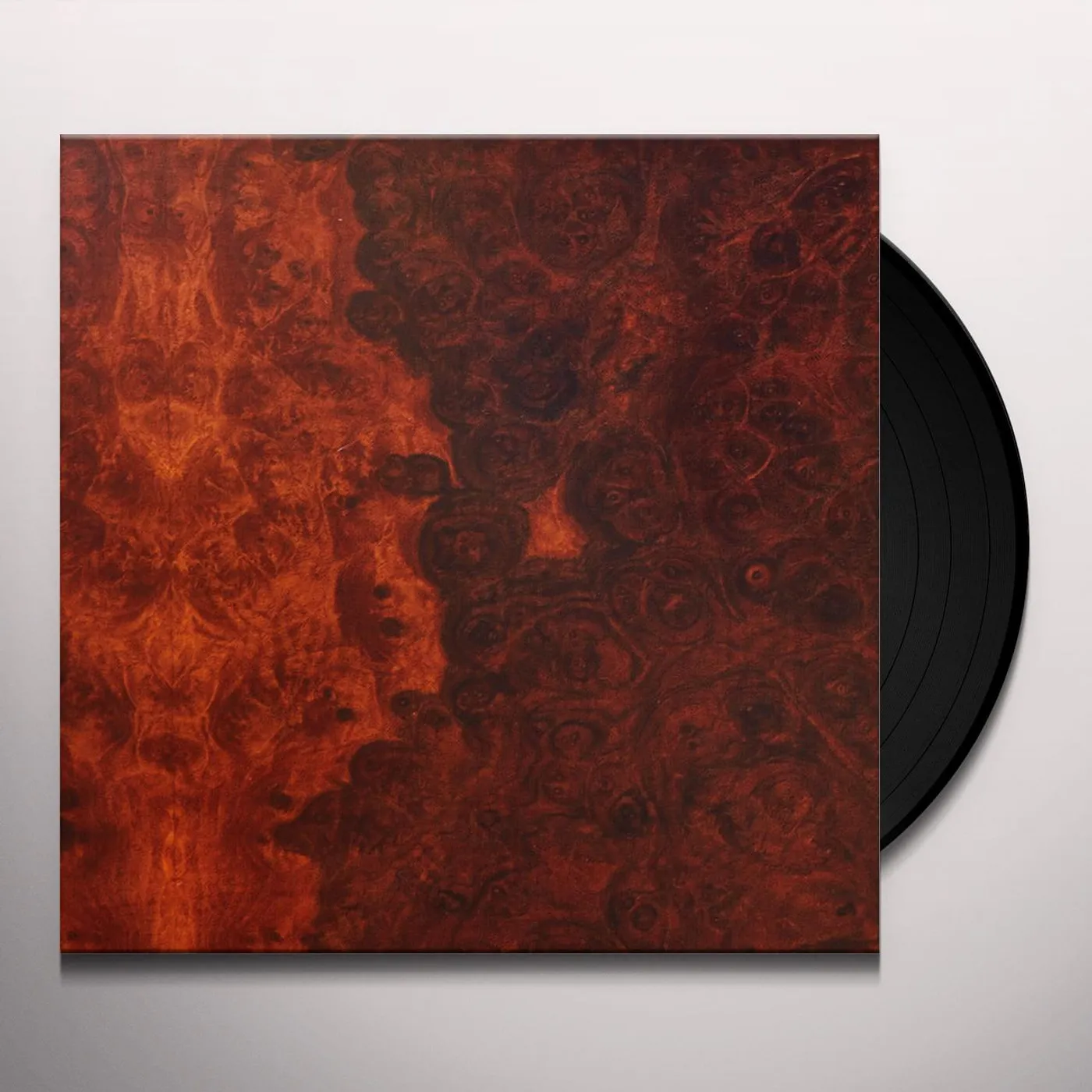 True Widow AVVOLGERE Vinyl Record