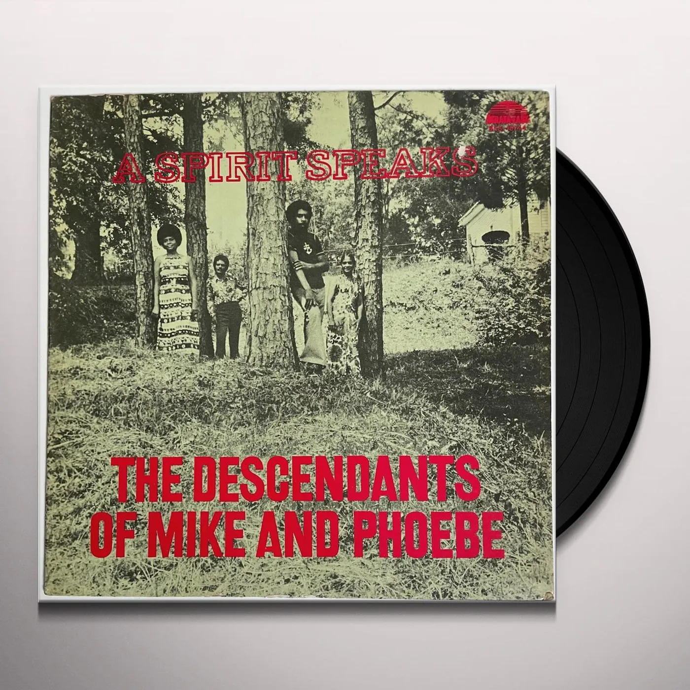 Descendants Of Mike & Phoebe SPIRIT SPEAKS Vinyl Record