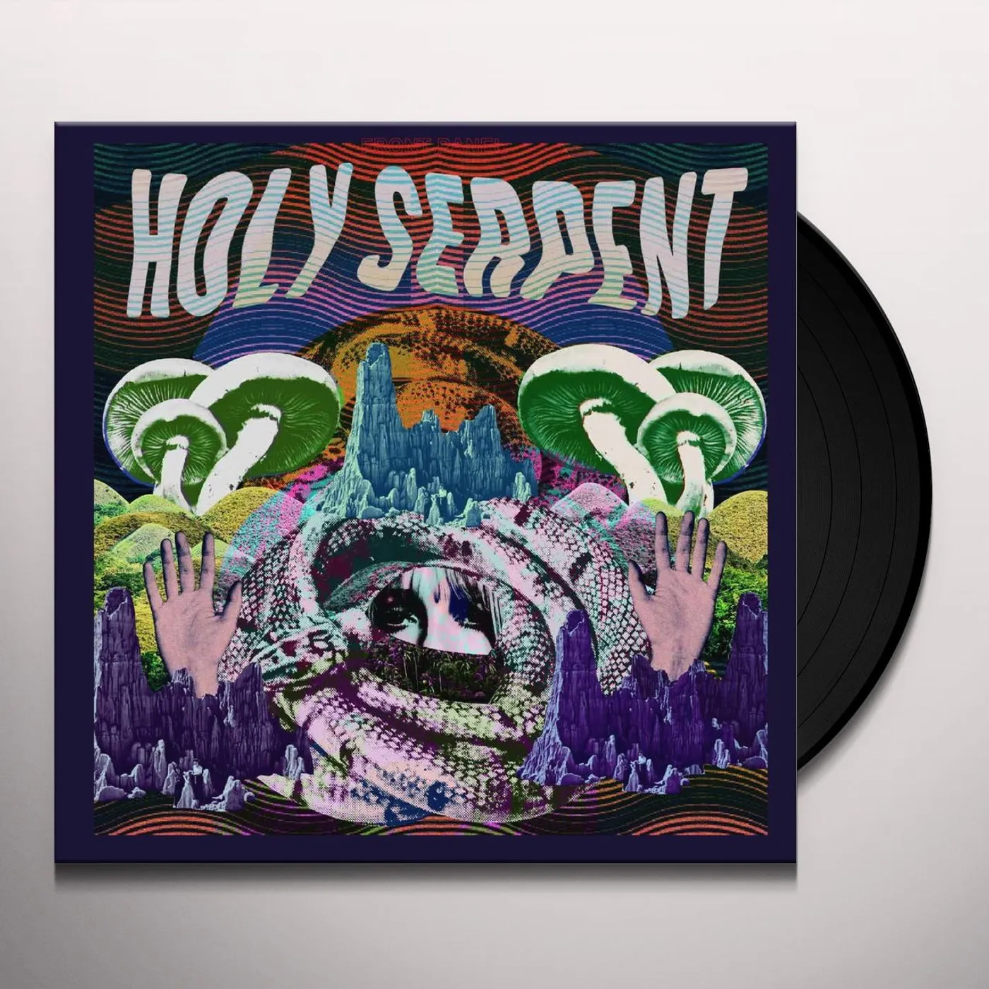 Holy Serpent Vinyl Record