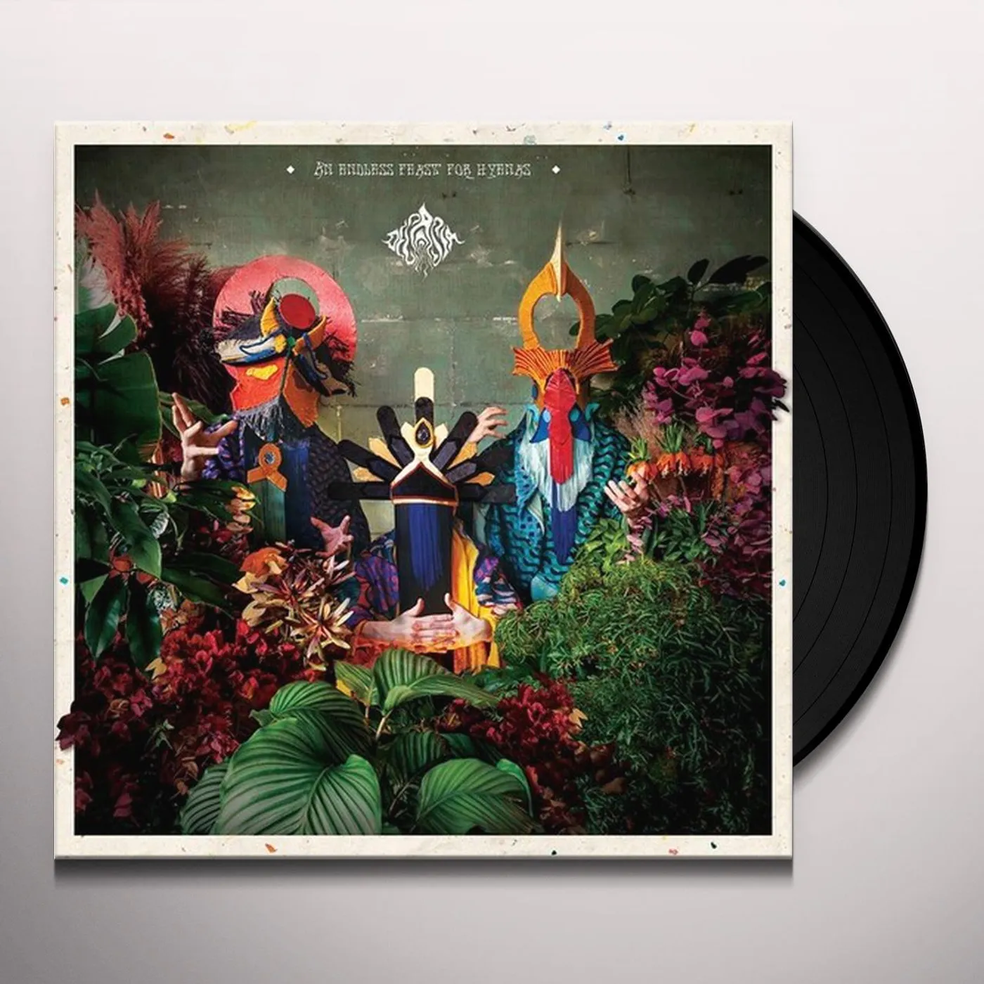 Decasia An Endless Feast For Hyenas Vinyl Record