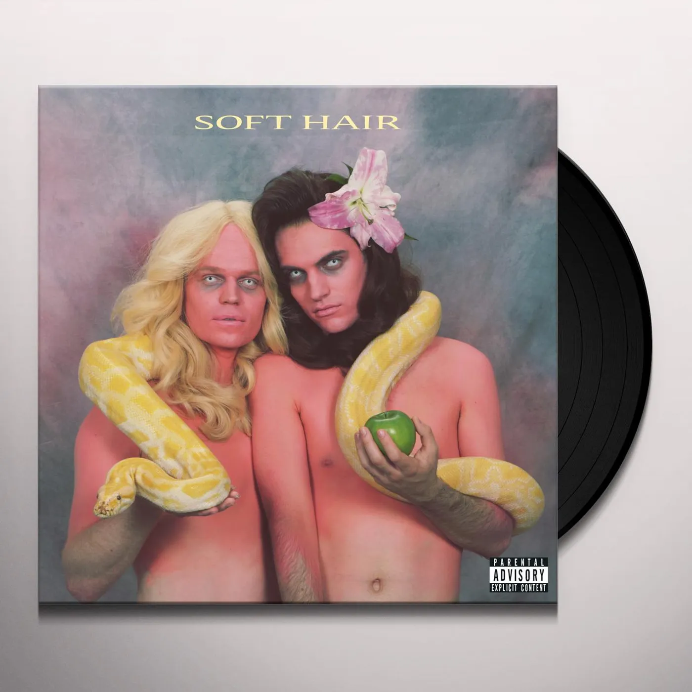 Soft Hair Vinyl Record