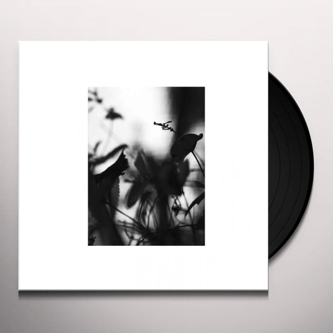 Pawel Berkeley Vinyl Record