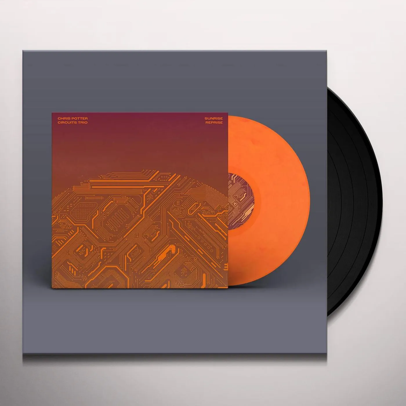 Chris Potter Sunrise Reprise Vinyl Record