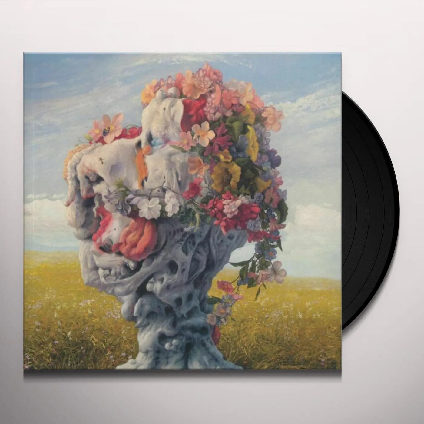 Wilderun Veil of Imagination Vinyl Record