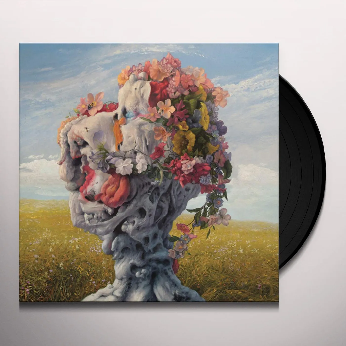 Wilderun Veil of Imagination Vinyl Record