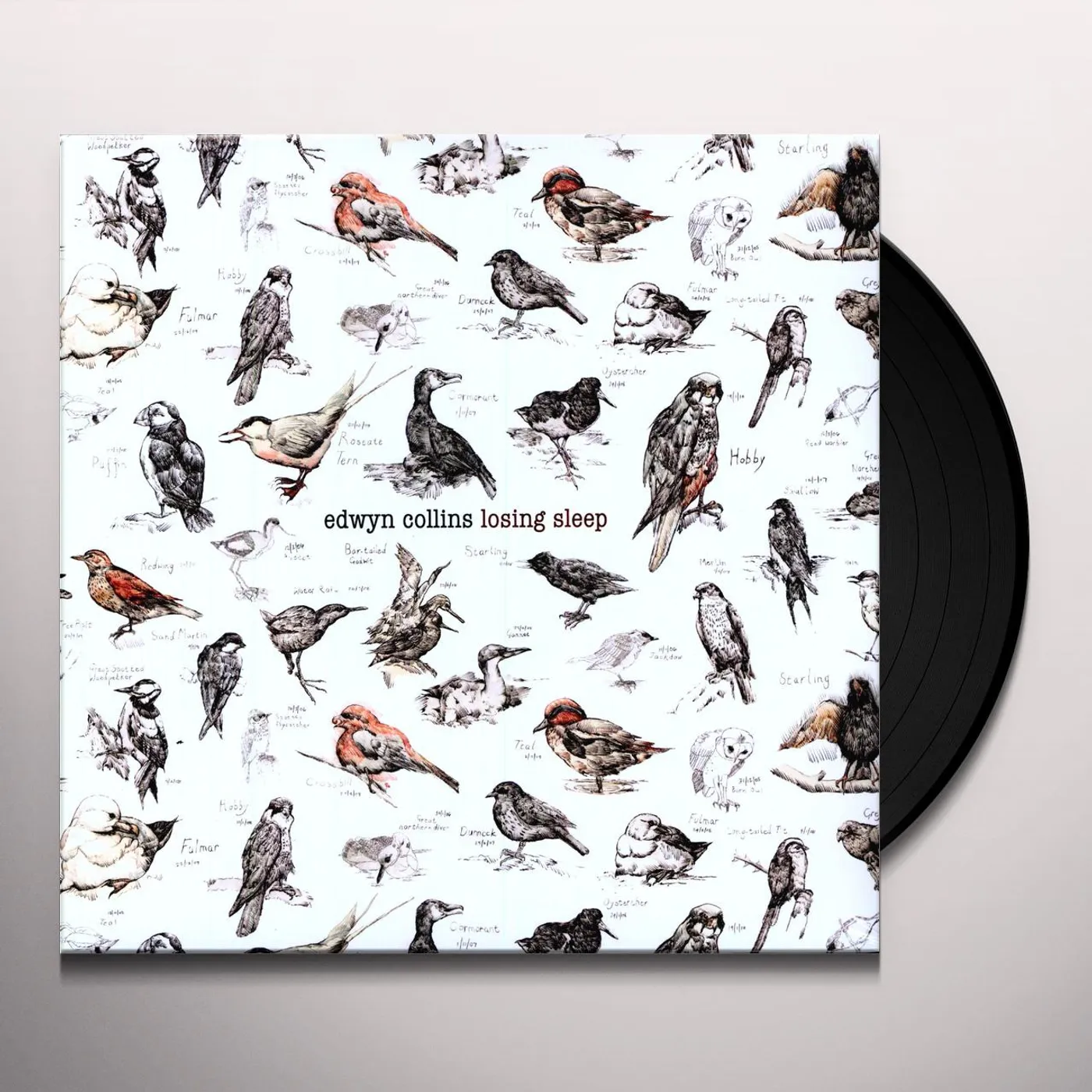Edwyn Collins LOSING SLEEP (Vinyl)