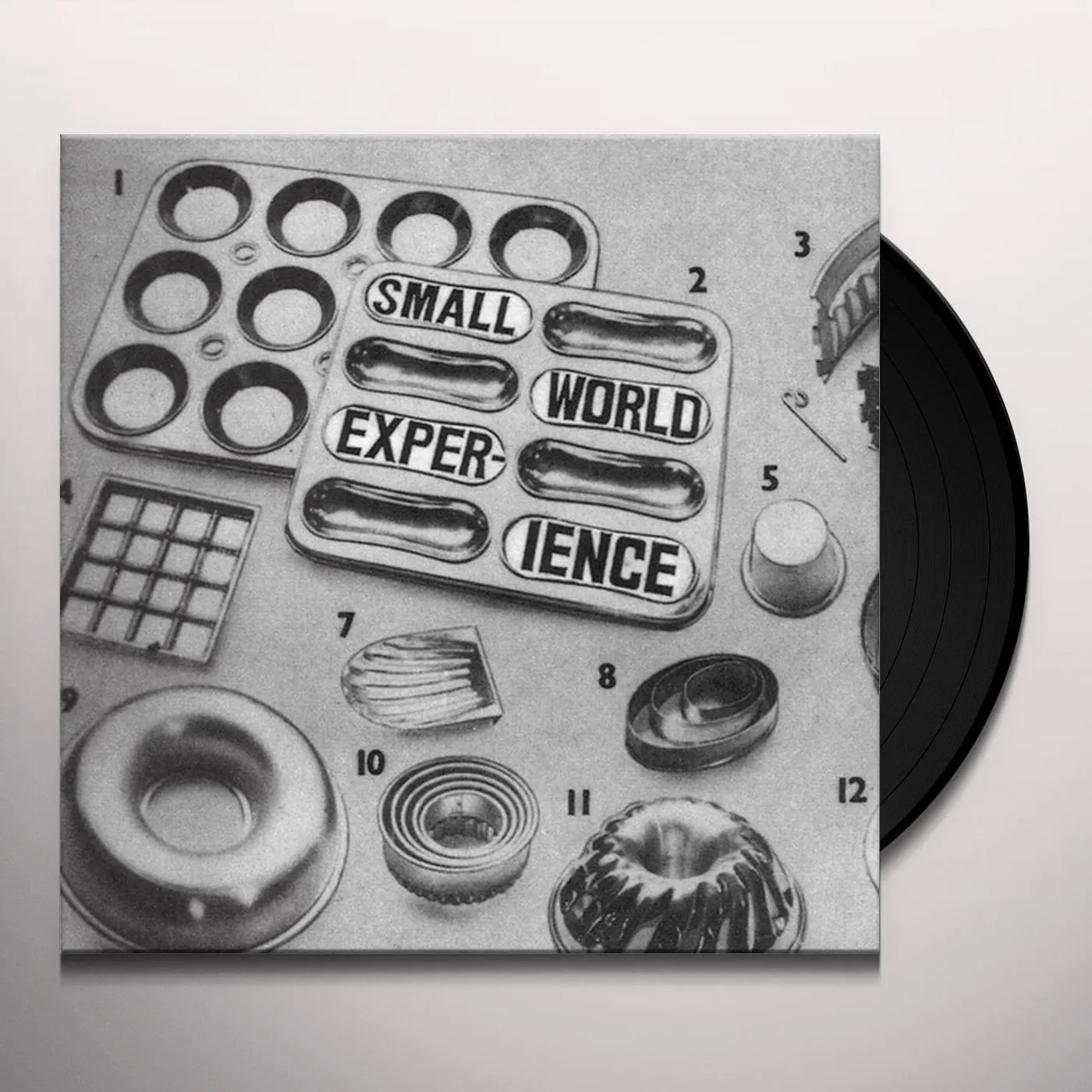 Small World Experience Shelf-Life Vinyl Record