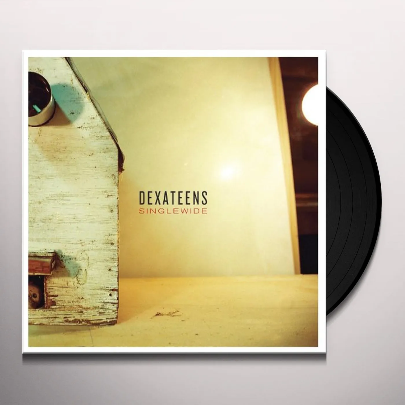 Dexateens Singlewide Vinyl Record