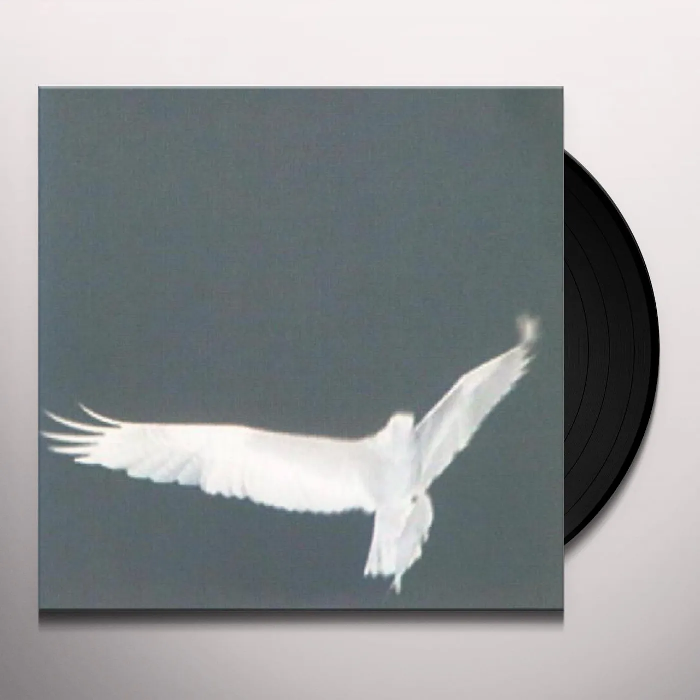 Bardo Pond Adrop Circuit Viii Vinyl Record