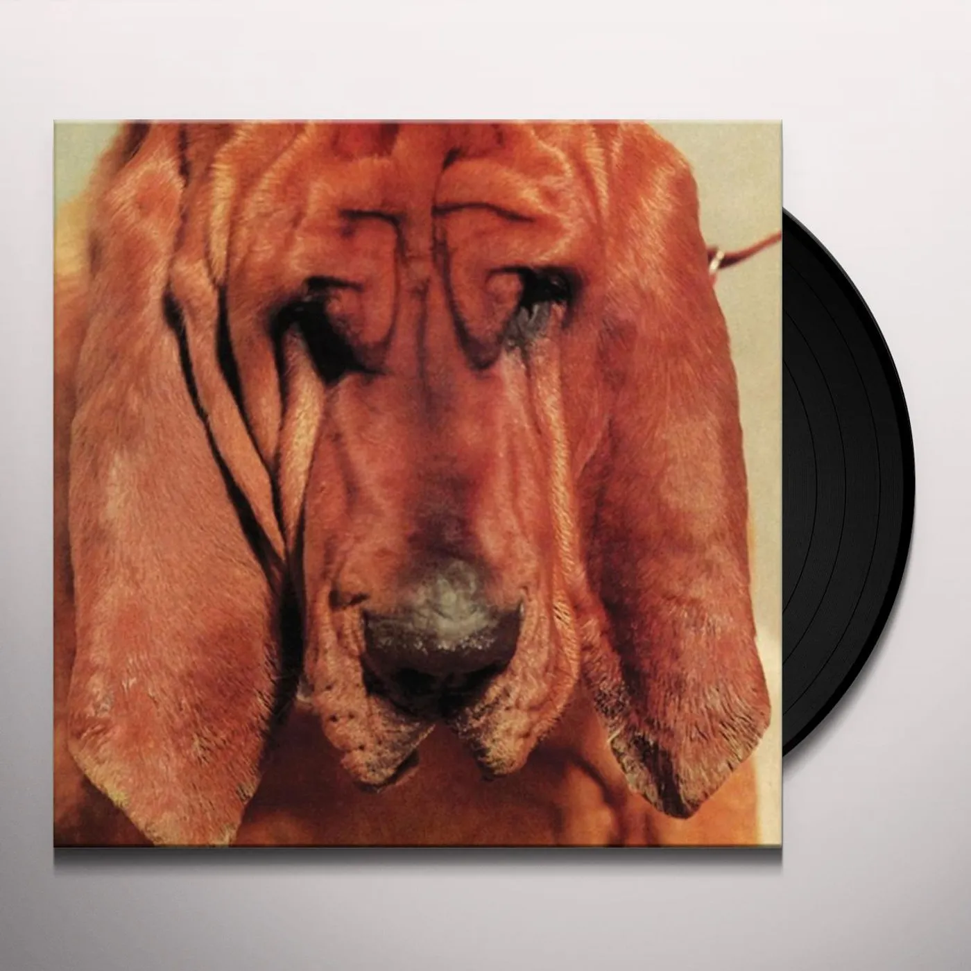 Ty Segall Goodbye Bread Vinyl Record