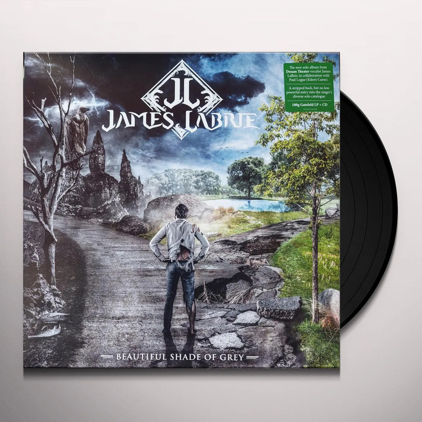James Labrie Beautiful Shade Of Grey Vinyl Record