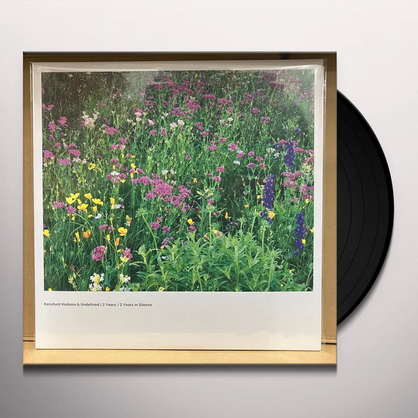 Kazufumi Kodama & Undefined 2 YEARS / 2 YEARS IN SILENCE Vinyl Record