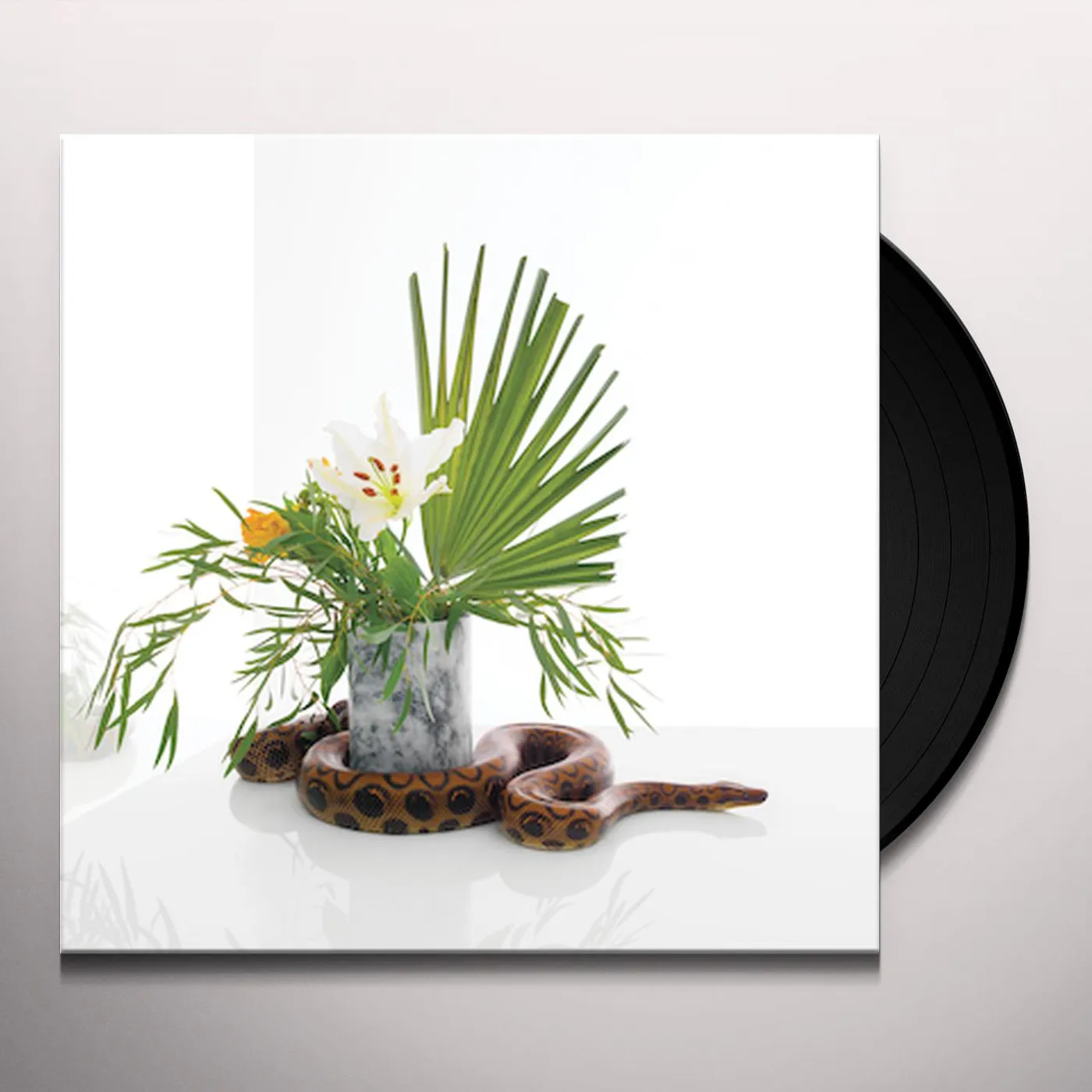 Noah Gundersen White Noise Vinyl Record